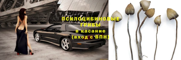 сатива Вязники