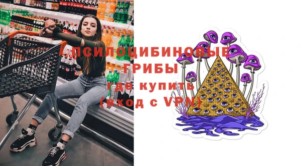 СК Горнозаводск