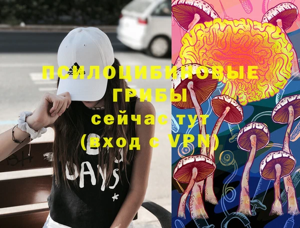 мяу мяу мука Вяземский